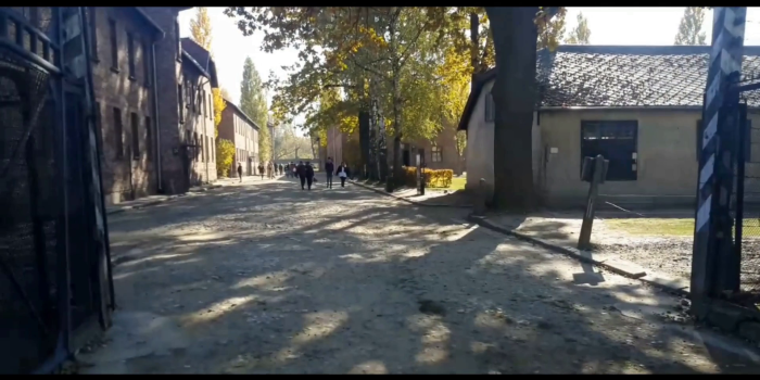 Web dialogue: Response of Karl, Michał, Anastasia