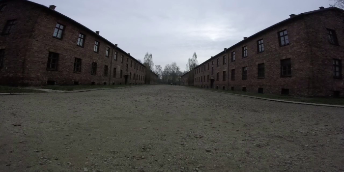 Web dialogue: Response of Barbara, Lisa, Pamina and Roza