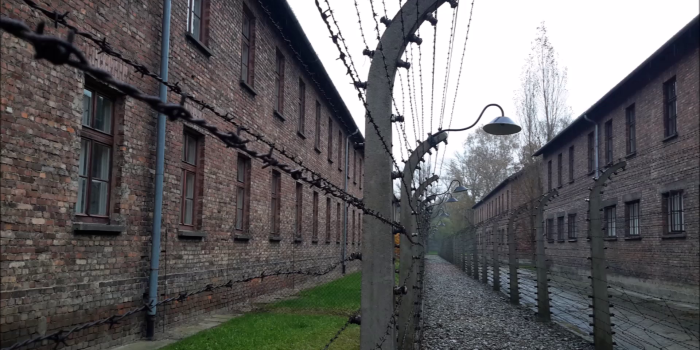 Web dialogue: Response of Alla, Amelie, Anna, Nikita, Luisa and Yulia